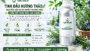 Tinh dầu Hương Thảo - nguyên liệu được nhiều thương hiệu dầu gội thảo mộc lựa chọn